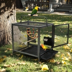 Wrought Iron Bird Travel Carrier Cage Parrot Cage with Handle Wooden Perch & Seed Guard for Small Parrots Canaries Budgies Parro