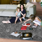 Long Plush Carpet For Living Room