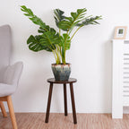 Set of 2 Wood Plant Stand Mid Century Side Table 16.5’’ Tall Round Side End Table Flower Pot Holder Home Decor