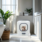 Bingopaw XL Cat Litter Box with Lid Enclosed Cat Potty Top Entry Anti-Splashing Cat Toilet Easy to Clean with Cat Litter Scoop