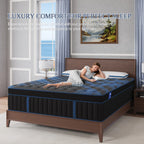 Hybrid Mattress Queen Double King Single Memory Foam Medium Firm 25cm Thick