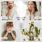 ROUNY Air Humidifier, 4L Large Capacity Ultrasonic Humidifier