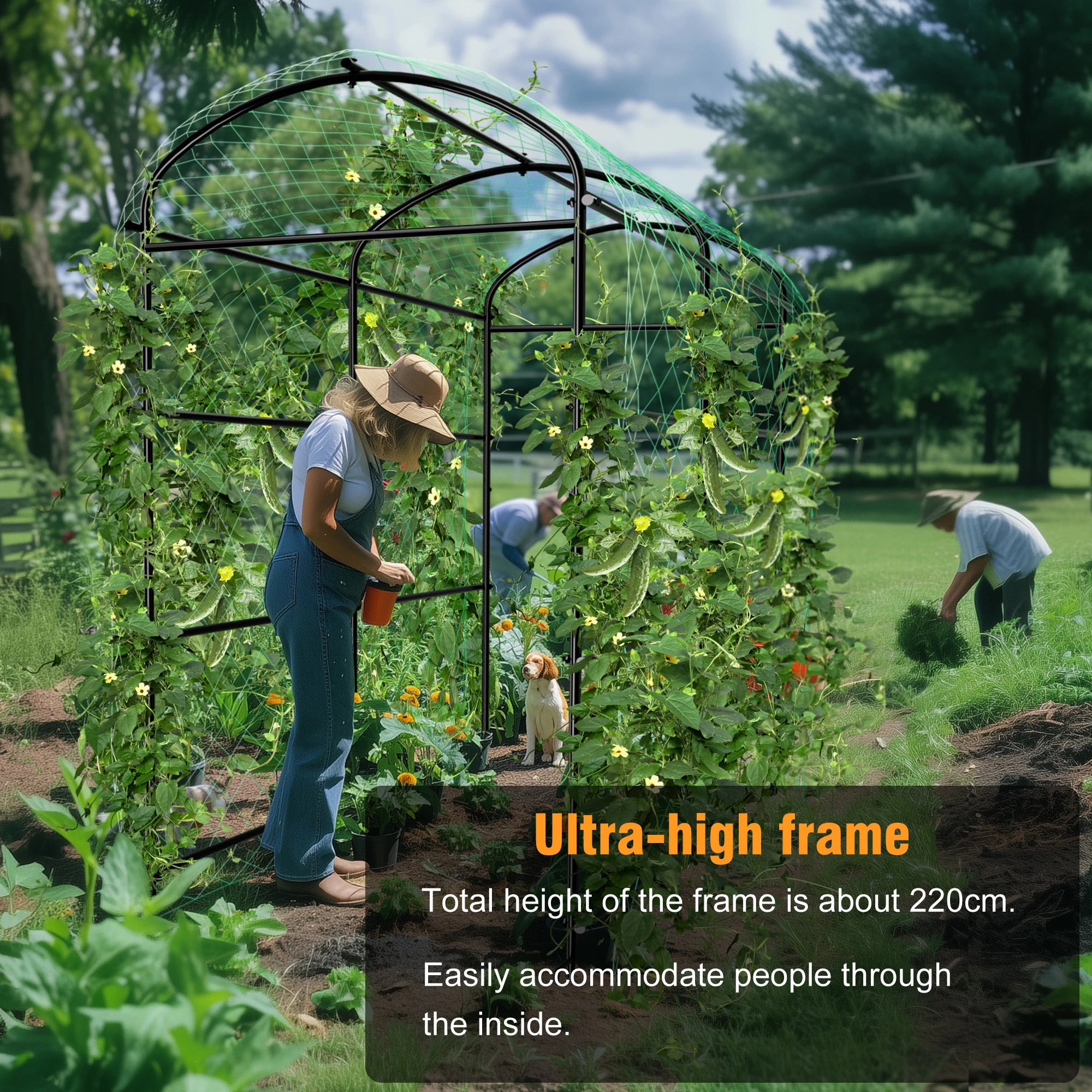 Cucumber Trellis for Garden Vegetable Trellis,U-Shaped Metal Garden Trellis Arch Plant Grow Support Frame for Climbing