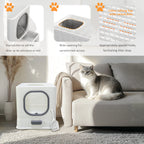 Bingopaw XL Cat Litter Box with Lid Enclosed Cat Potty Top Entry Anti-Splashing Cat Toilet Easy to Clean with Cat Litter Scoop